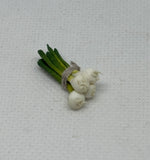 Botte d’oignons blancs
