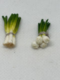 Botte d’oignons blancs